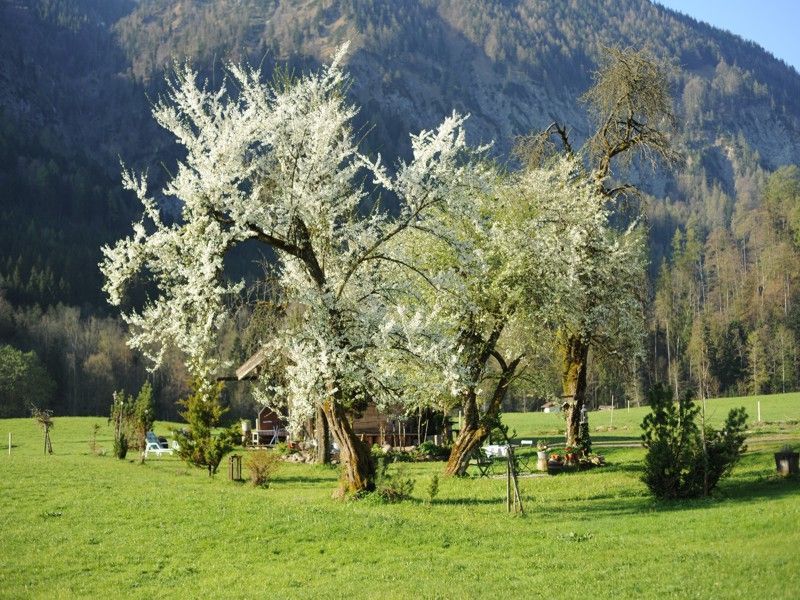 Genießen Sie unseren idyllischen Garten